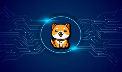 babydoge币是谁发行的？